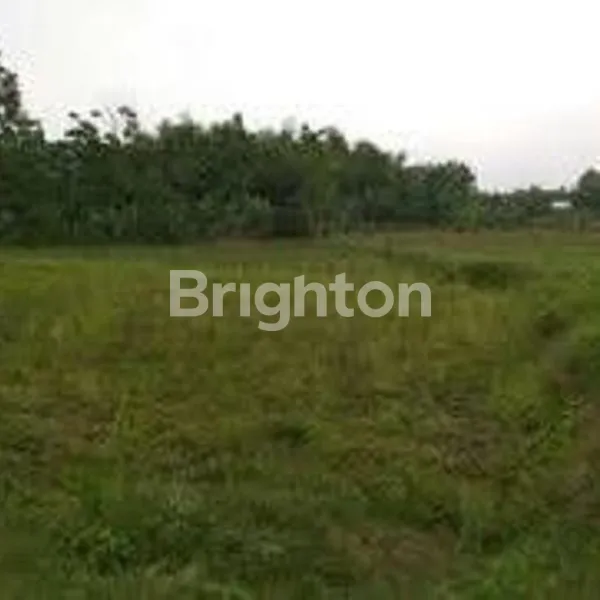 image NEW GRESS MINIMALIS RUMAH LOKASI PALEMBANG !! (2)