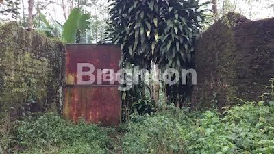 image TANAH KAVLING UNTUK KEBUN, PETERNAKAN ATAU DIBANGUN (1)