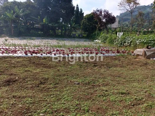 image TANAH DATAR SIAP BANGUN JALAN RAYA LEMBANG CIKOLE (7)