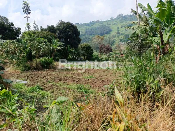 image TANAH DATAR SIAP BANGUN JALAN RAYA LEMBANG CIKOLE (5)