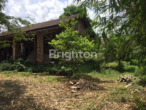 image LAHAN PERKEBUNAN DI ATAS BUKIT,DAERAH MIJEN SEMARANG (1)