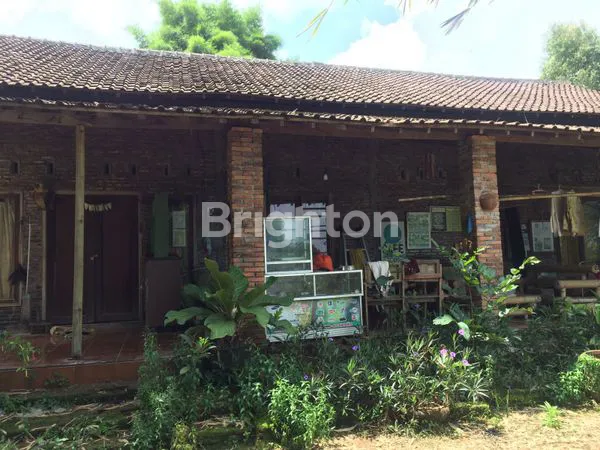 image LAHAN PERKEBUNAN DI ATAS BUKIT,DAERAH MIJEN SEMARANG (2)