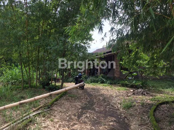 image LAHAN PERKEBUNAN DI ATAS BUKIT,DAERAH MIJEN SEMARANG (4)