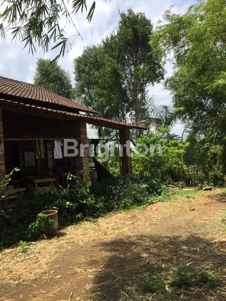 image LAHAN PERKEBUNAN DI ATAS BUKIT,DAERAH MIJEN SEMARANG (5)