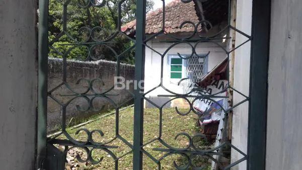 image RUMAH DENGAN TANAH YANG LUAS  (4)