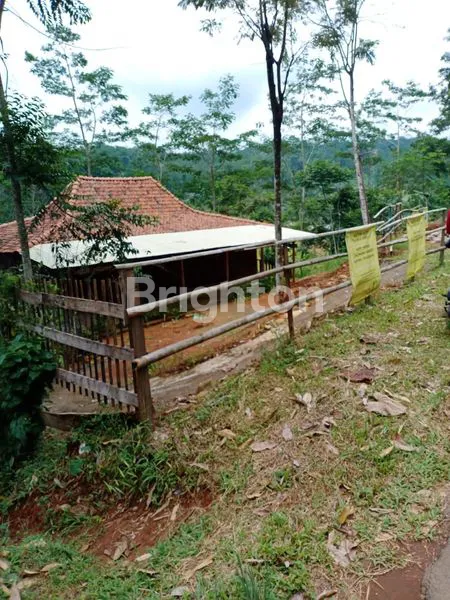 image TANAH  MURAH KEDUNGMALANG WONOTUNGGAL (4)