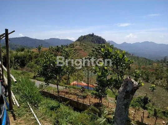 image TANAH YANG SANGAT LUAS DI CIKAJANG GARUT (2)