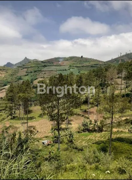 image TANAH YANG SANGAT LUAS DI CIKAJANG GARUT (3)