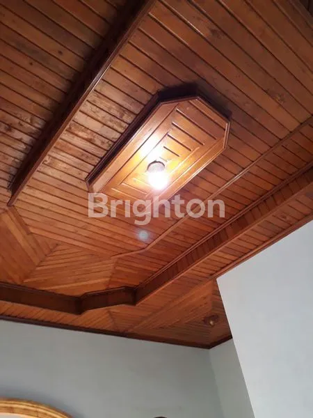 image RUMAH CANTIK.KEBUN BUNGA (2)