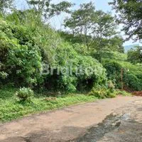 cropped3589063643595815372