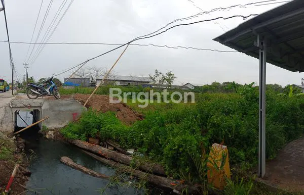 image TANAH STRATEGIS PINGGIR JALAN PROTOKOL PANTURA KALIGAWE SEMARANG (6)