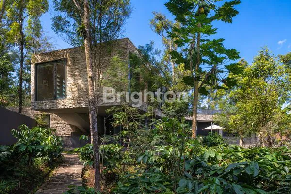 image VILLA MEWAH KAKI PEGUNUNGAN MALANG (3)