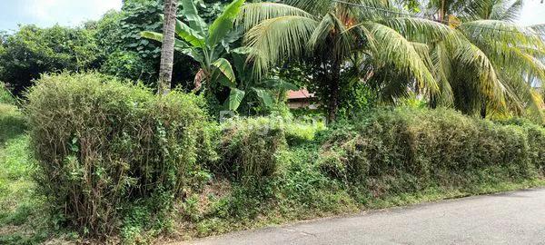 image TANAH LUAS BISA BUAT USAHA LOKASI STRATEGIS SAKO SUMATERA SELATAN (3)