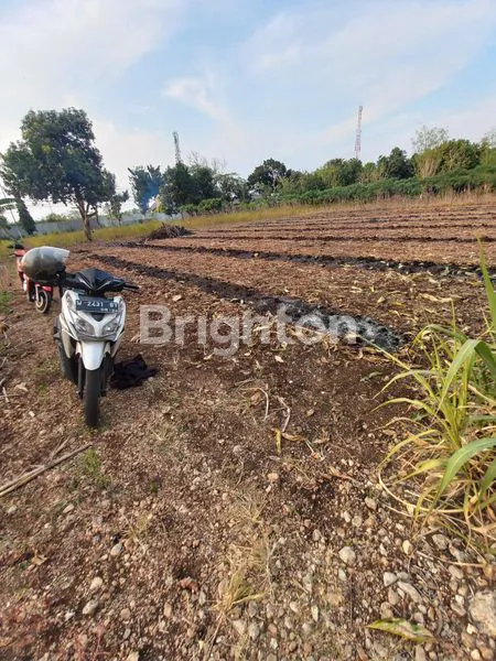 image TANAH RAYA LAMONGAN PANTURA ZONA INDUSTRI (3)