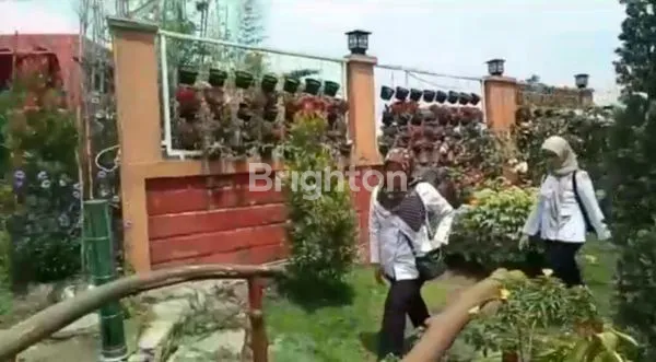 image RUMAH USAHA EX RESTO  LOKASI EXIT TOL ARAH SBY-MLG DEPAN KEBUN KEBUN RAYA PURWODADI (3)