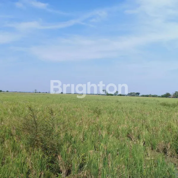 TURUN HARGA TANAH DI KARAWANG BARAT