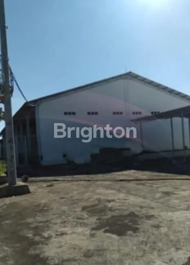 image TANAH + BANGUNAN SIAP PAKAI (5)