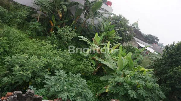 image TANAH KOSONG STRATEGIS KAWASAN  JAGAKARSA, JAKARTA SELATAN (2)