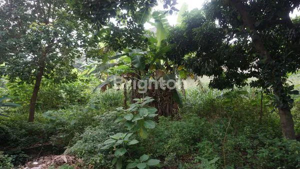 image TANAH KOSONG STRATEGIS KAWASAN  JAGAKARSA, JAKARTA SELATAN (3)