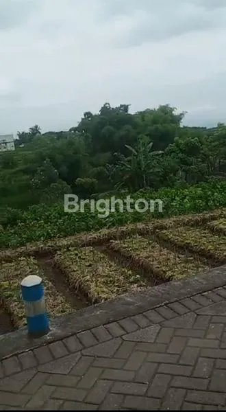 image TANAH YANG SANGAT ASRI DAN COCOK BUAT SEGALA USAHA (1)