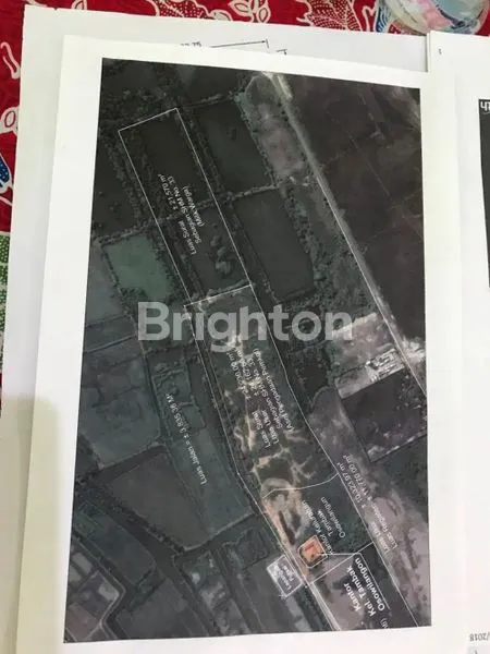 image TAMBAK HITUNG TANAH DI  TAMBAK OSOWILANGUN (1)