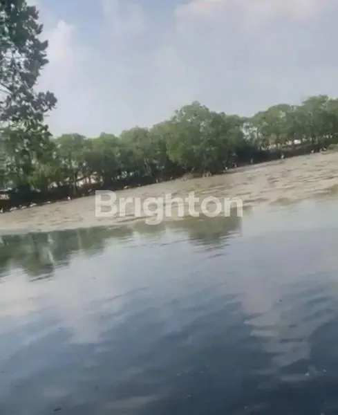 image TAMBAK HITUNG TANAH DI  TAMBAK OSOWILANGUN (2)