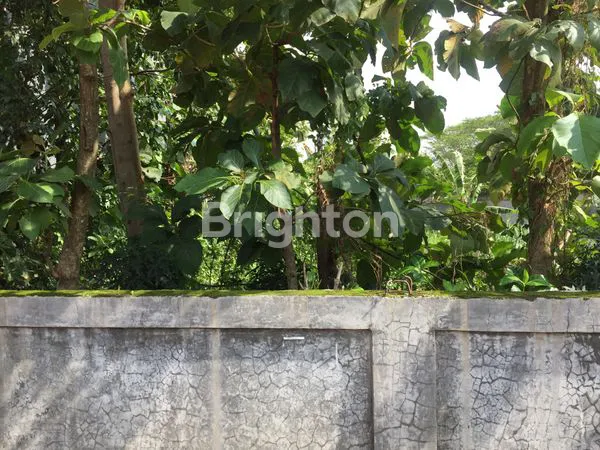 image LAHAN DILOKASI DEKAT KAWASAN INDISTRI MANYARAN SEMARANG (1)