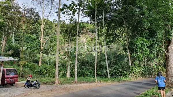 image TANAH TRAWAS DEPAN PADI VIEW NOL JALAN RAYA (3)