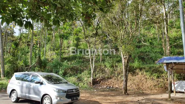 image TANAH TRAWAS DEPAN PADI VIEW NOL JALAN RAYA (4)