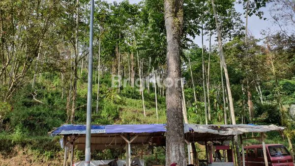 image TANAH TRAWAS DEPAN PADI VIEW NOL JALAN RAYA (5)