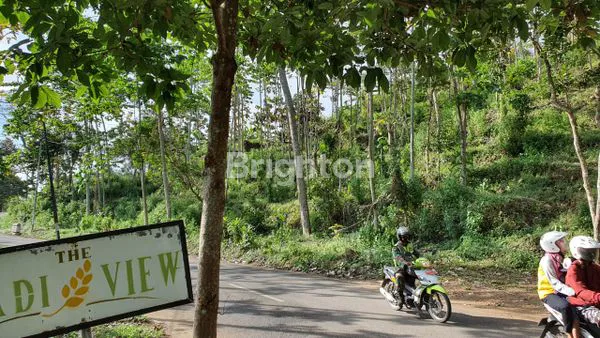 image TANAH TRAWAS DEPAN PADI VIEW NOL JALAN RAYA (6)