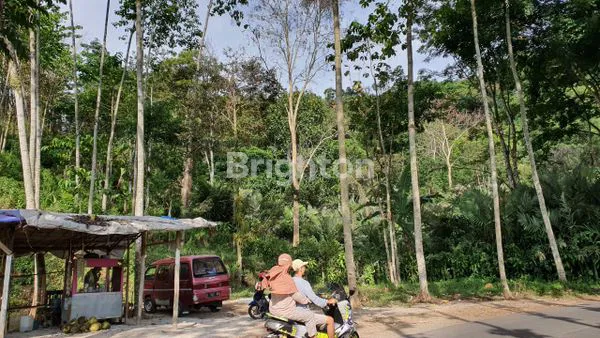 image TANAH TRAWAS DEPAN PADI VIEW NOL JALAN RAYA (7)