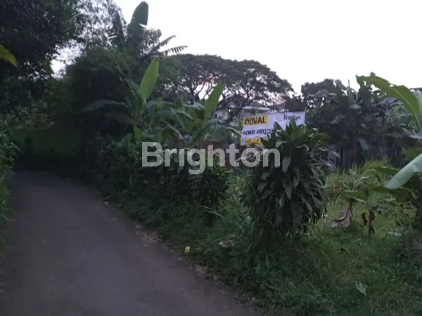 image LAHAN  2102 METER DI DALAM KOTA BOGO (8)