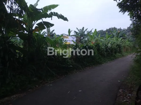 image LAHAN  2102 METER DI DALAM KOTA BOGO (4)