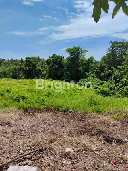 UNTUK GUDANG, TANAH AREA TABANAN ANTAP JALUR DENPASAR GILIMANUK