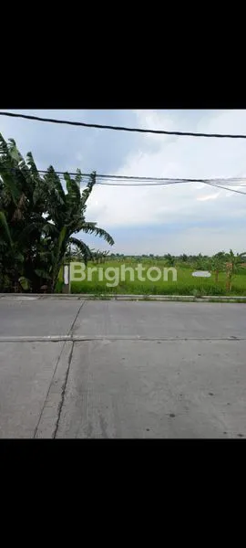 image TANAH DI NOL JALAN RAYA, COCOK UNTUK INDUSTRI. (1)