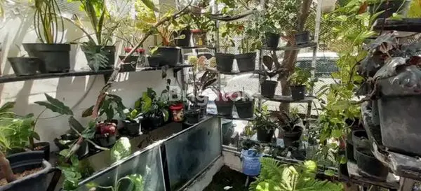 image RUMAH DI GREEN LAKE (2)