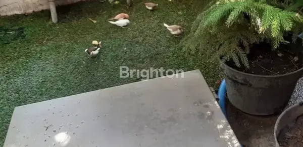 image RUMAH DI GREEN LAKE (5)