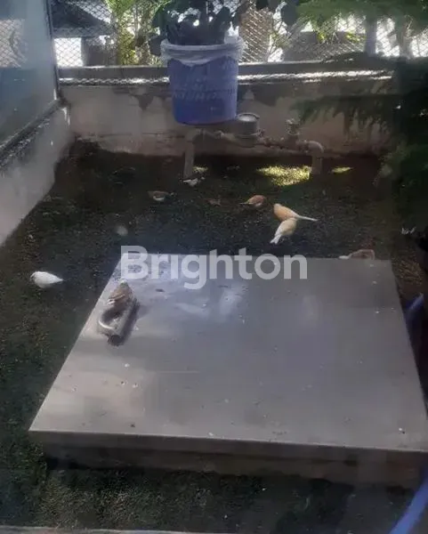 image RUMAH DI GREEN LAKE (6)