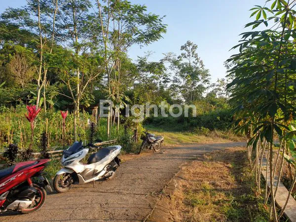 image LAHAN PERTANIAN MURAH (2)