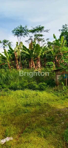 image TANAH MURAH ZONA INDUSTRI (6)