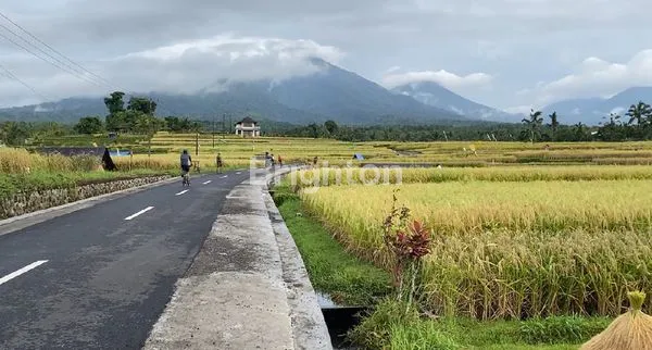 image TANAH SAWAH SUBUR VIEW GUNUNG (1)