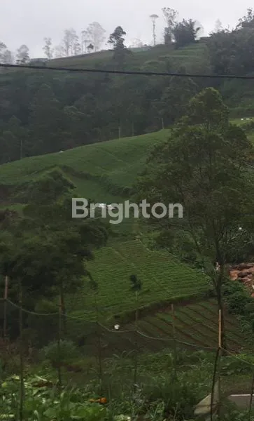 image TANAH LUAS DI KABUPATEN GOWA SULSEL SIAP BANGUN COCOK UNTUK INVESTASI (1)