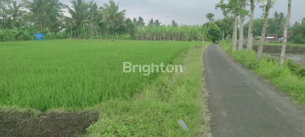 image TANAH SAWAH JL CEMPAKA (1)