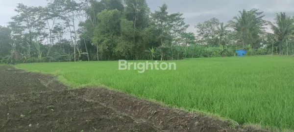 image TANAH SAWAH JL CEMPAKA (2)