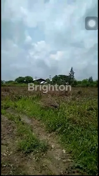 image SIAP BANGUN, COCOK UNTUK BERBAGAI INDUSTRI!!!  (2)