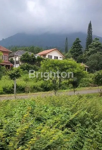 image PANDERMAN HILL DEKAT GOLDEN TULIP DAN JATIM PARK (4)