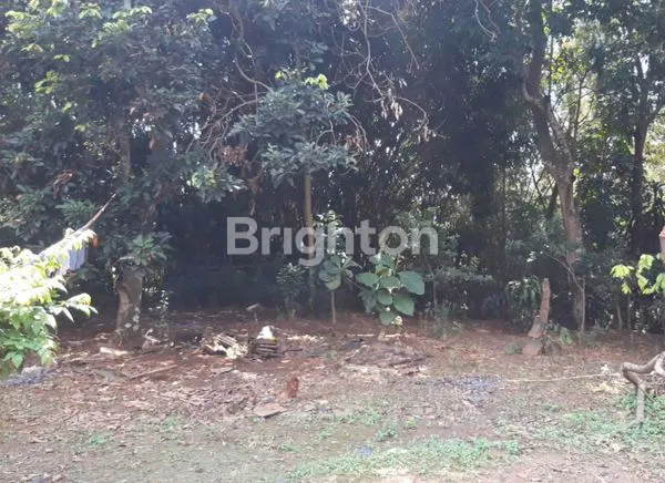 image TANAH BONUS 2 RUMAH, STRATEGIS, 60 METER DARI JL PUDAK PAYUNG, BELAKANG POM BENSIN (4)