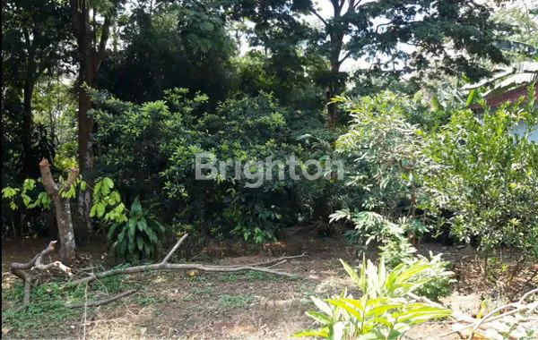 image TANAH BONUS 2 RUMAH, STRATEGIS, 60 METER DARI JL PUDAK PAYUNG, BELAKANG POM BENSIN (5)