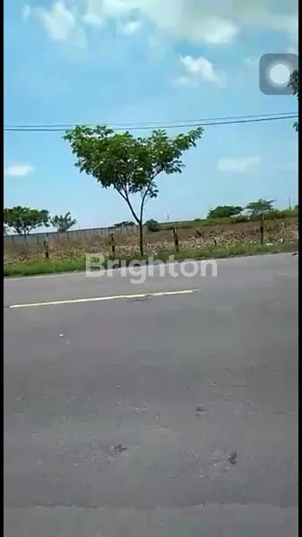 image TANAH LOKASI ZONA INDUSTRI SIAP BANGUN PABRIK DI DAERAH WIDANG TUBAN (3)